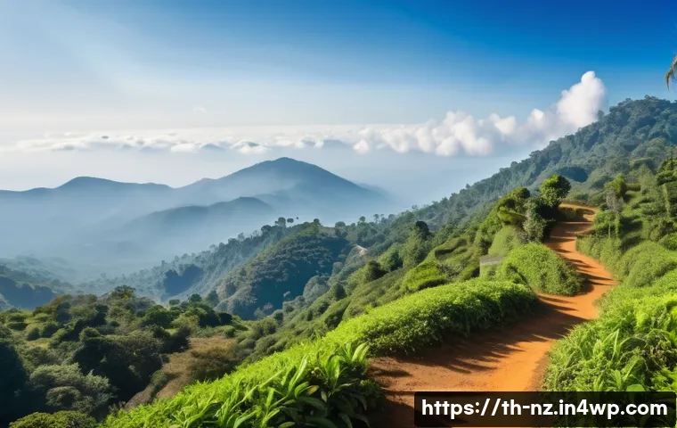 장거리 하이킹을 위한 지역 탐방 및 문화 체험 - A scenic hiking trail on Doi Inthanon, Thailand&rsquo;s highest peak, featuring lush green forests, cascad...